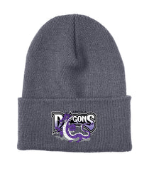 Arcola Dragons INSULATED KNIT TOQUE
