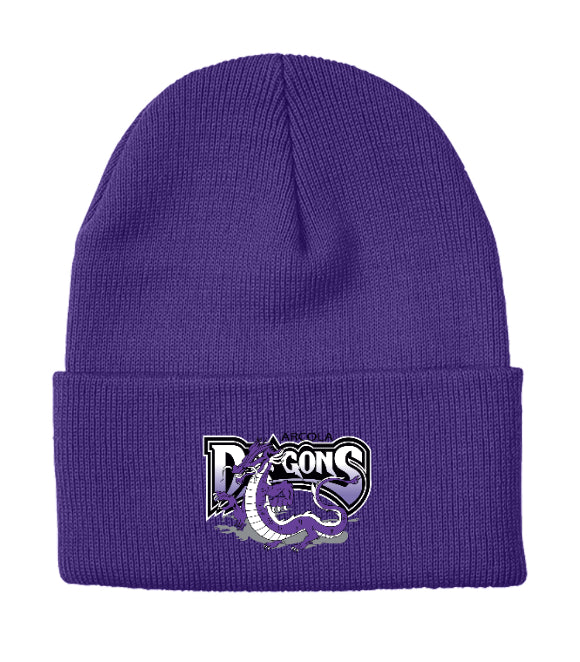 Arcola Dragons INSULATED KNIT TOQUE