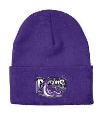 Arcola Dragons INSULATED KNIT TOQUE